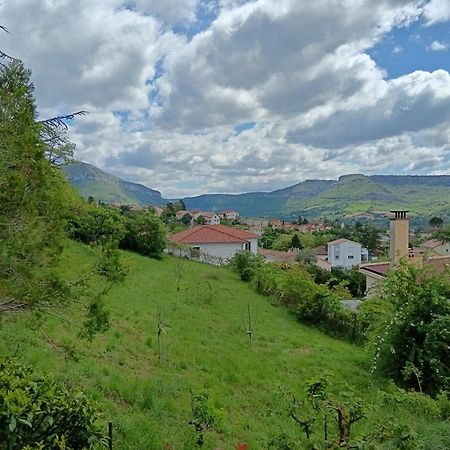 Gite Des Grands Causses Millau Luaran gambar